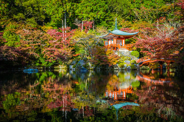 Fototapeta na wymiar Beautiful Daigoji temple with colorful tree and leaf in autumn season