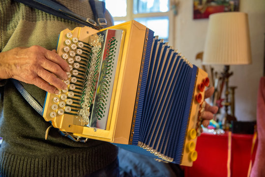 STEIRISCHE HARMONIKA . HAUSMUSIK 