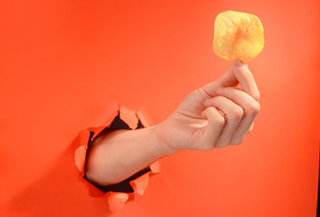 Hand holding a potato chip through a torn hole in red paper background.