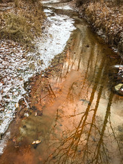 Winter Stream Trees Reflection with Orange Clay