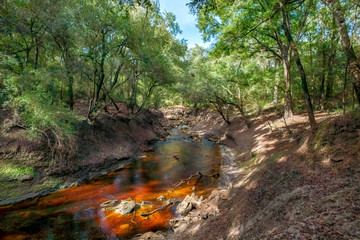 Alapaha River, Hamilton Co, Florida