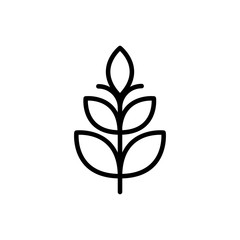 wheat rural agriculture thick line