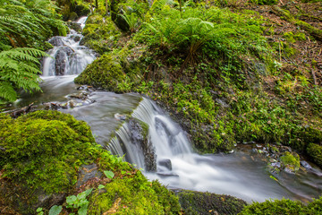 Waterfalls in Canonteign in South Devon