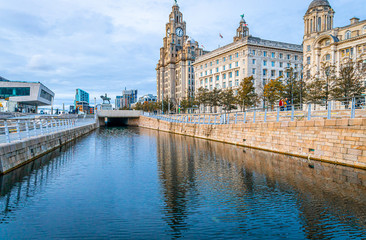 View of Royal Liver Building, England