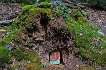 Fairy Door in the Forest