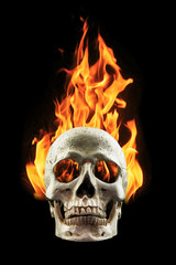 human skull in fire flame