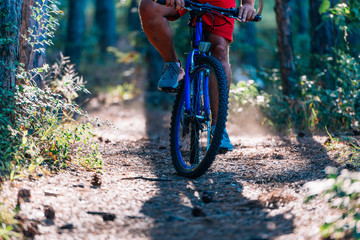 Fototapeta na wymiar Older overweight man rides a mountain bike through the woods using extreme effort.
