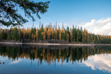 Montana autumn reflection