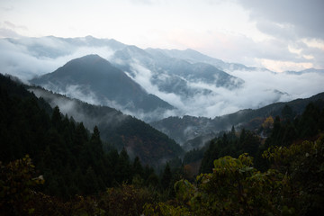 Cloud Sea in the Morning