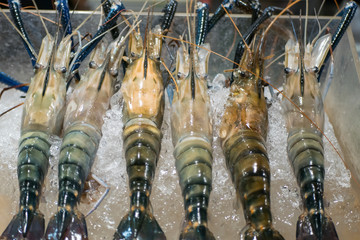 Fresh river prawns or giant prawns on the ice selling at the market.