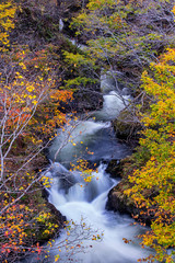 Fototapeta na wymiar Autumn scenery of Hokkaido woodland near Jozankeionsenhigashi. Otarunai river just down the steam of the Jozankei Dam and Sapporo Lake.