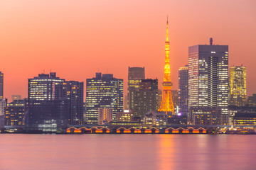 Fototapeta na wymiar Night Tokyo lights across the Tokyo bay, with lite up Tokyo Tower