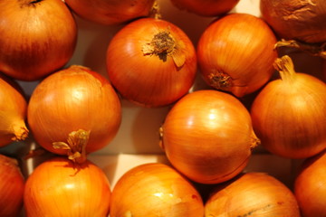 Fresh onions in the market basket