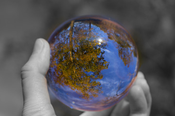 Reflection of Fall Trees and blue sky during the golden hour in a glass ball