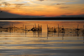 Fototapeta na wymiar Sunset over water, Belmont Bay with netting fence in shallow water in silhouette of land and trees.