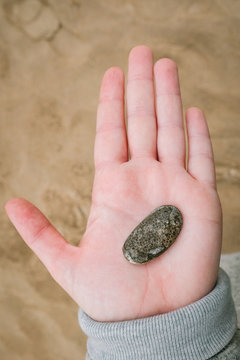 Petoskey stone 