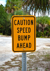 Caution Speed Bump Ahead