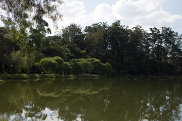 Green lake at the park