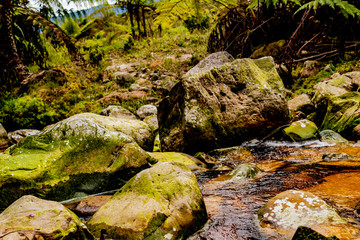 Ruta del Roble, Santander, Boyacá, Colombia