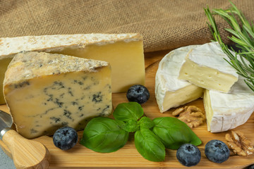 Assortment of cheeses with  herbs, nuts and blueberries. Food for wine, cheeses delicatessen on a wooden board.