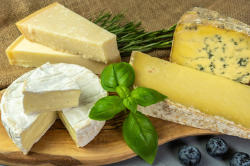 Assortment of cheeses with  herbs and blueberries. Food for wine, cheeses delicatessen on a wooden board.