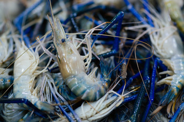 shrimps in market for cooking