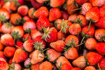 strawberry in the basket