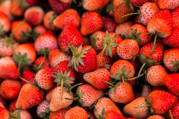 strawberry in the basket