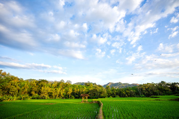 Blue sky with clouds