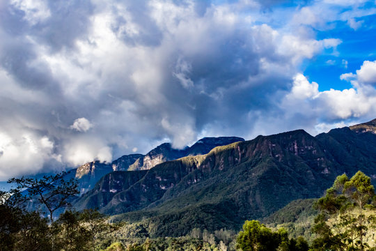 Ruta del Roble, Santander, Boyac&aacute;, Colombia
