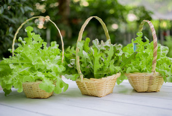 Fototapeta na wymiar Fresh hydroponic lettuce vegetables in bamboo baskets on wooden table