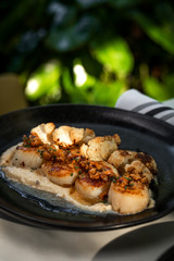 Haute cuisine - grilled king shrimps with white sauce on black dish in outdoors restaurant