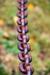Rusty chain link over grass
