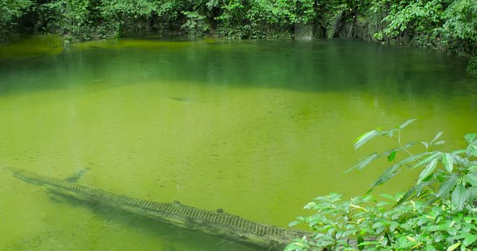 Underground Creek in Front of Clearwater Cave, Gunung Mulu National Park, Borneo Island, Malaysia