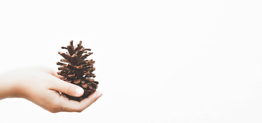 The hand that held the pine cones on the eve of christmas happily