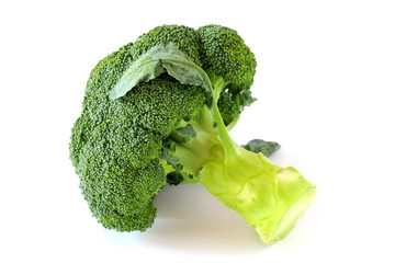 Fresh Broccoli isolated on white background.