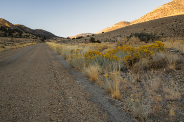 Unpaved road in desert in the morning. Death Valley National Park, California