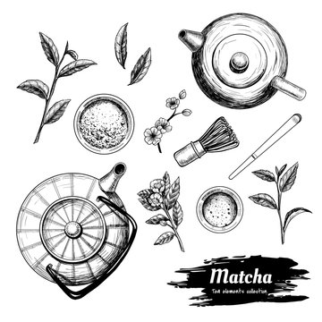 Matcha tea. Tea elements set. Hand drawn  vector illustration. Vintage style