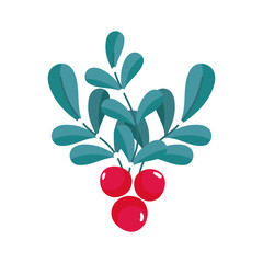 leaves foliage berries seeds nature icon