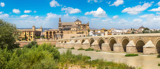 Roman Bridge in Cordoba © Sergii Figurnyi