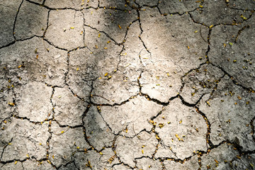 Dry split cracked earth background texture in light and shade - Drought concept