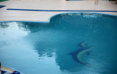 Fototapeta na wymiar Swimming area in Lerik, Azerbaijan