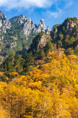 みずがき山自然公園 から瑞牆山の紅葉