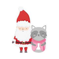 merry christmas celebration santa claus raccoon with sweater