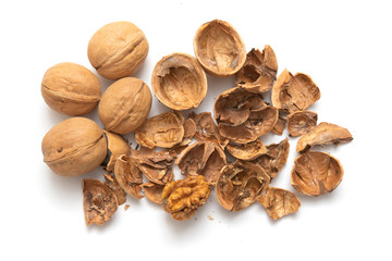 Walnut, isolated on a white background.