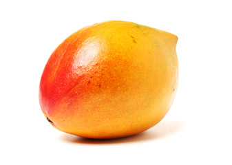 Mango on a white background