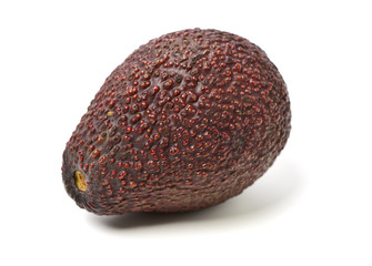 Avocado on a white background
