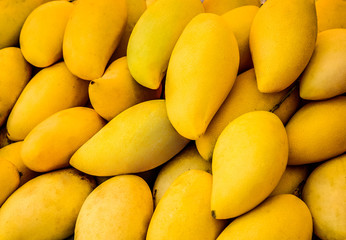 Group of yellow fresh ripe mango pattern, copy space, top view