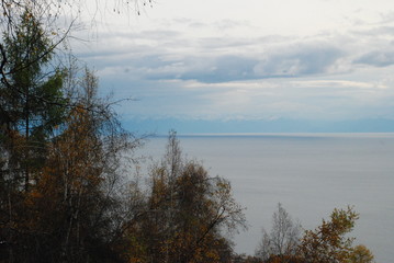 foggy morning on the lake