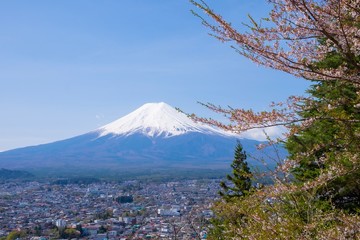 Landscape of mountain Fuji with snow cap and cherry blossom branch , Japan